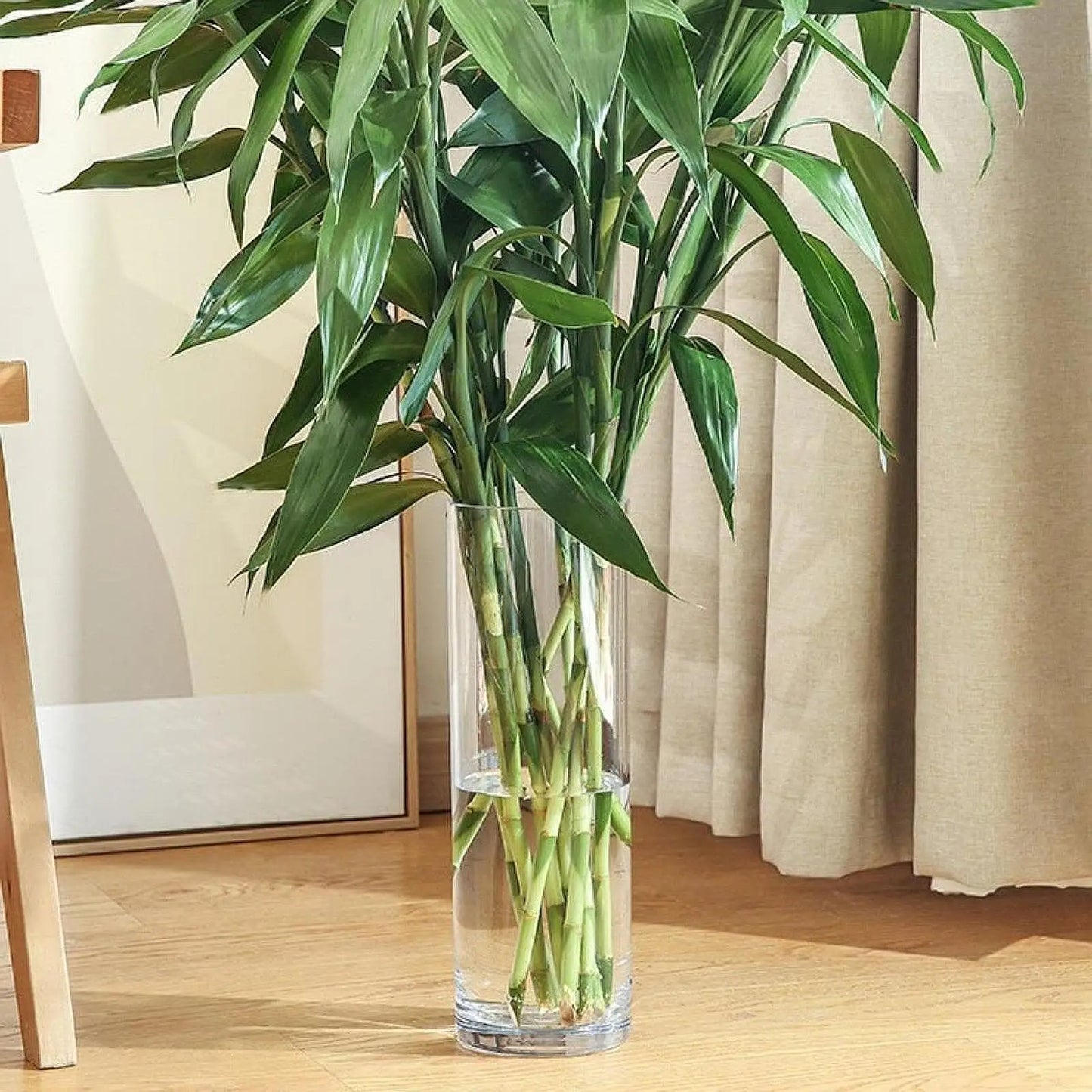 Acrylic Cylinder Flower Vase Floral Arrangements Floor Organizer Storage Tall Vase Modern Clear for Desk Living Room Office