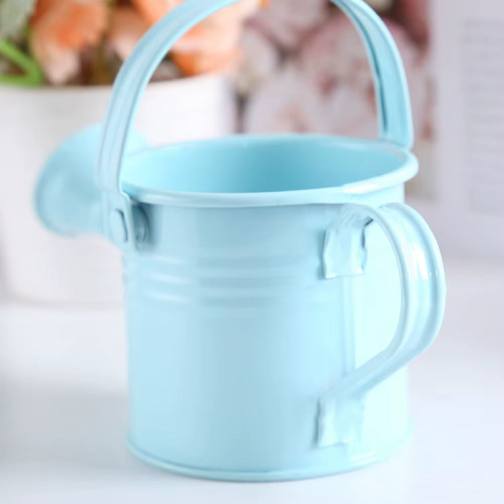 New Metal Watering Can Garden Flower Kettle Mini Small Water Spraying Pot Sprinkle with Large Capacity For Kids Adult